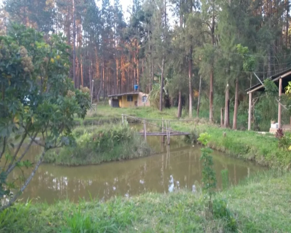 Chácara, 3 quartos, 1 hectares - Foto 1