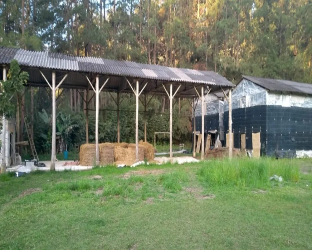 Chácara, 3 quartos, 1 hectares - Foto 2