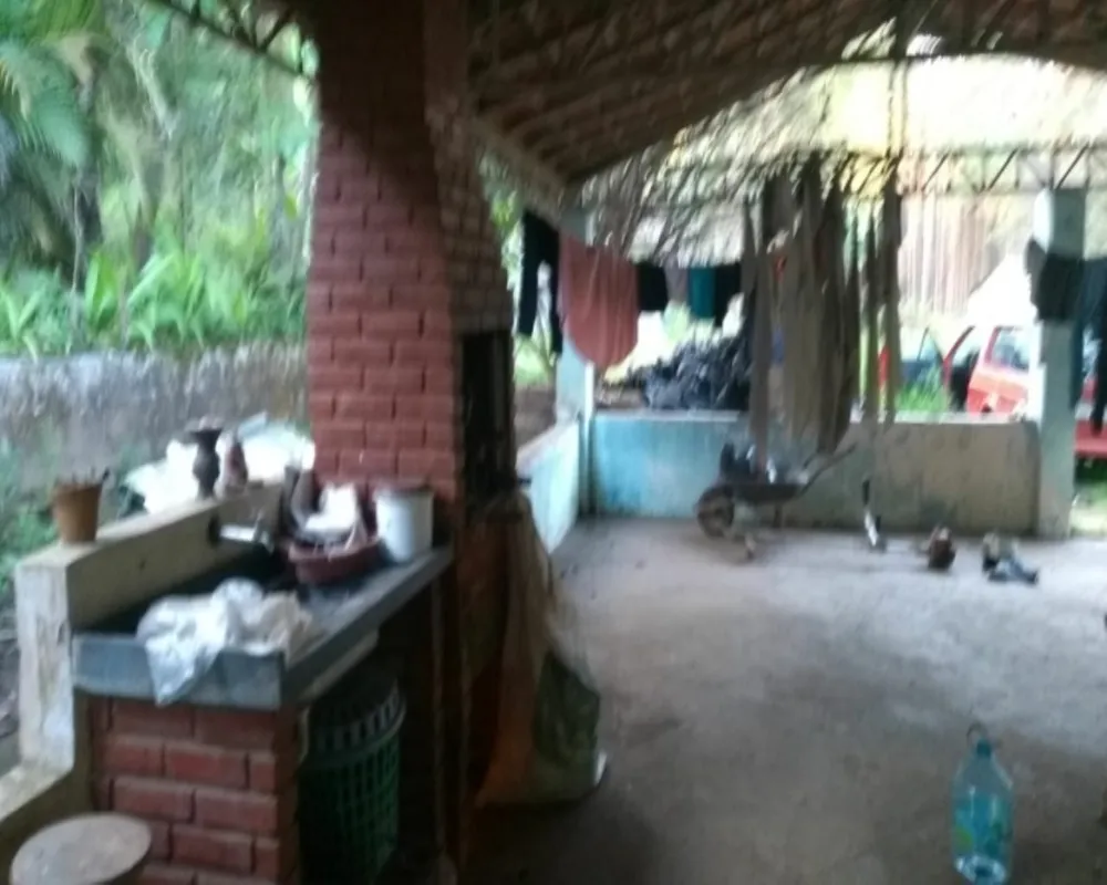 Chácara, 3 quartos, 1 hectares - Foto 3