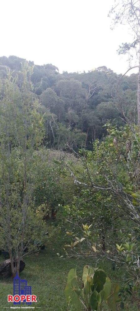 Chácara, 3 quartos, 7935 m² - Foto 25