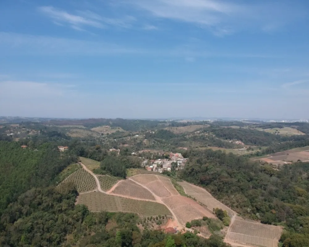 Sítio, 4 quartos, 15 hectares - Foto 18