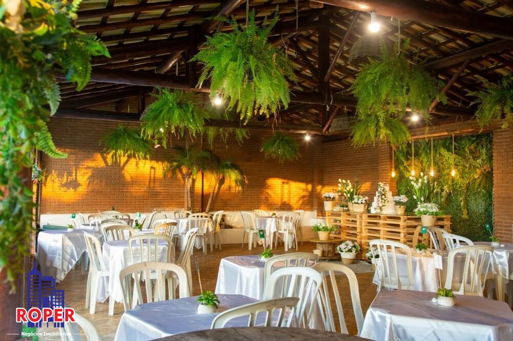 Chácara à venda com 8 quartos, 5000m² - Foto 4