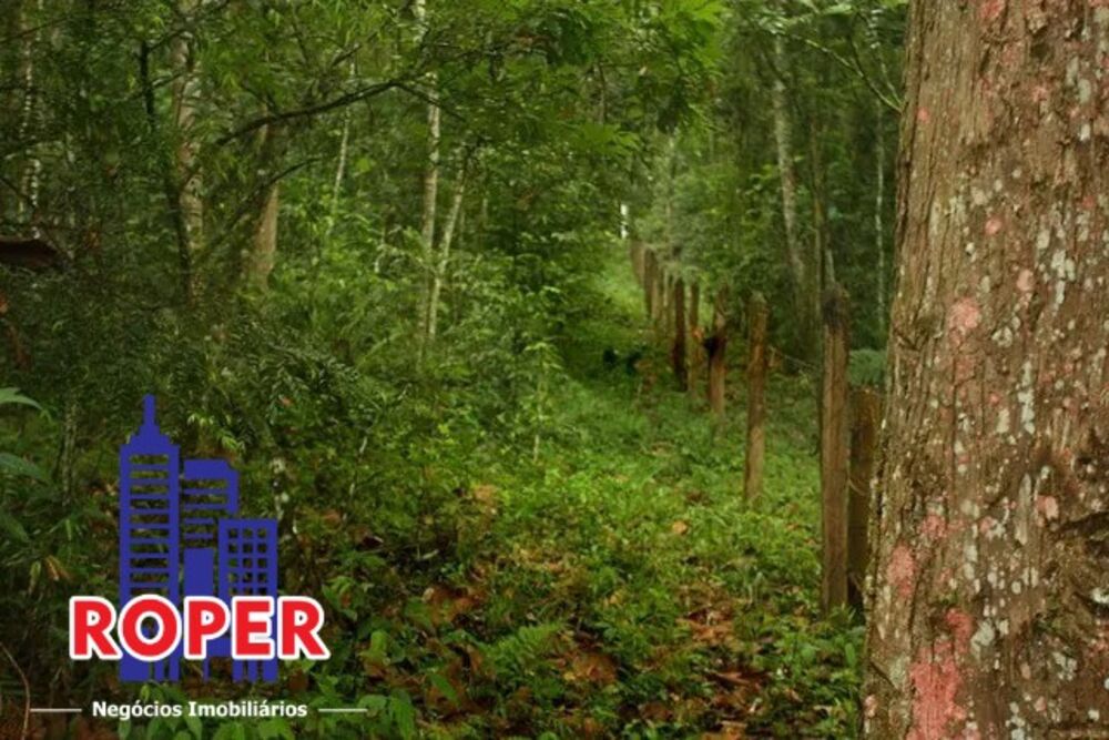 Chácara, 1 hectares - Foto 8