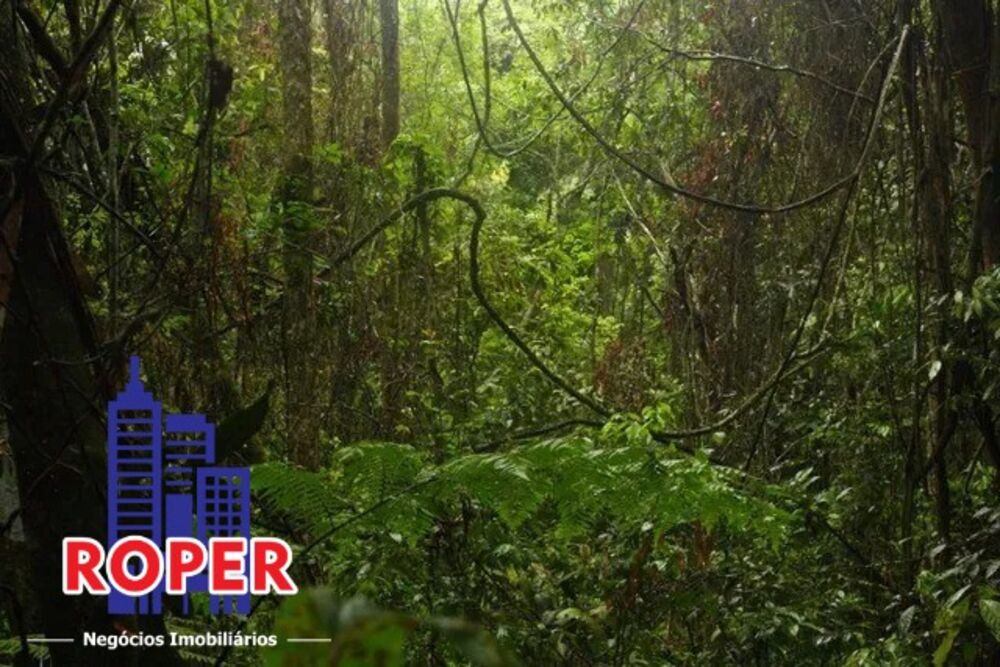 Chácara, 1 hectares - Foto 6