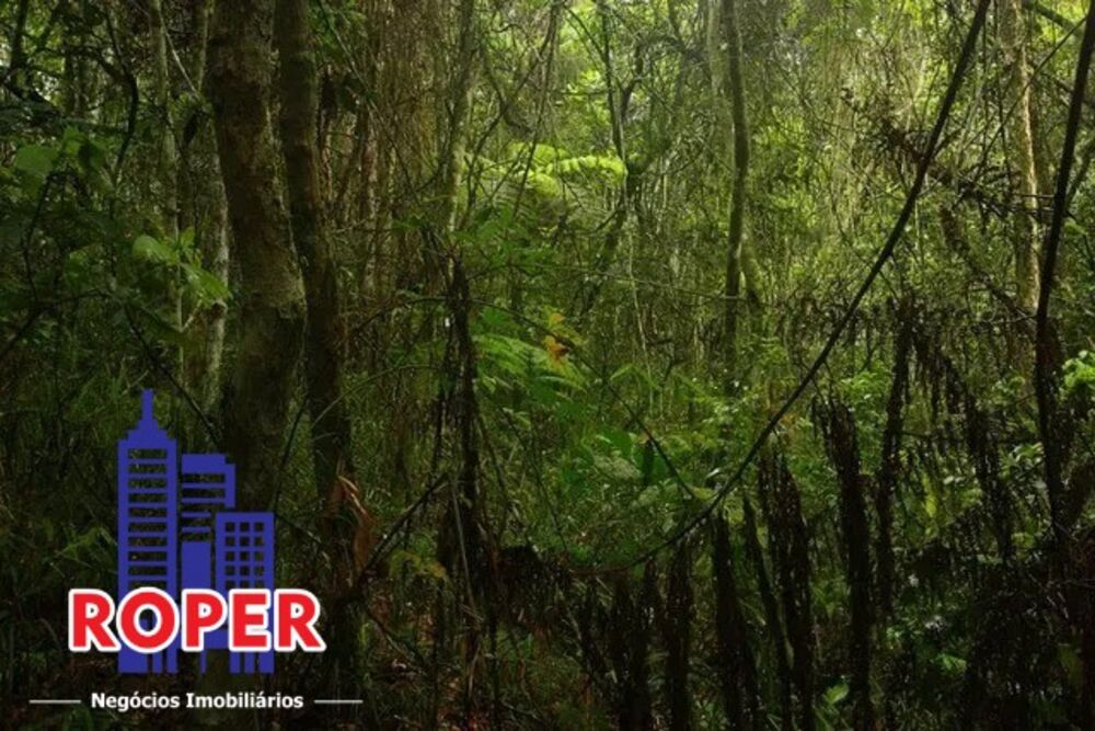 Chácara, 1 hectares - Foto 4