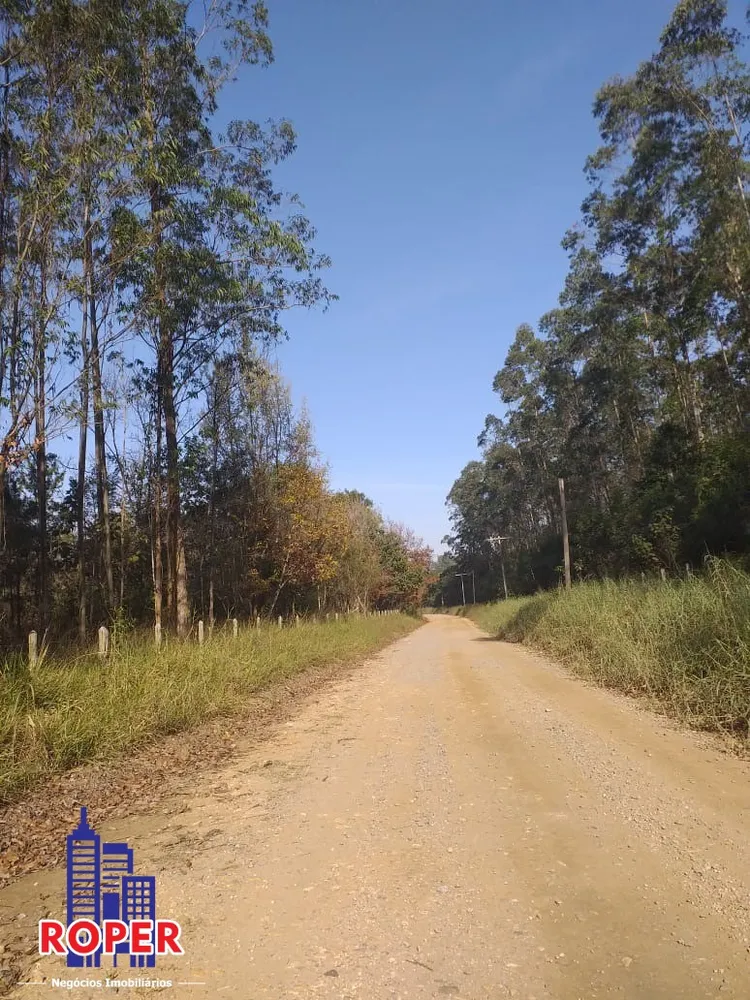 Chácara, 4 quartos, 1 hectares - Foto 16