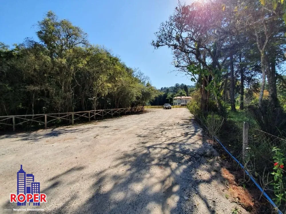 Chácara, 4 quartos, 2 hectares - Foto 10