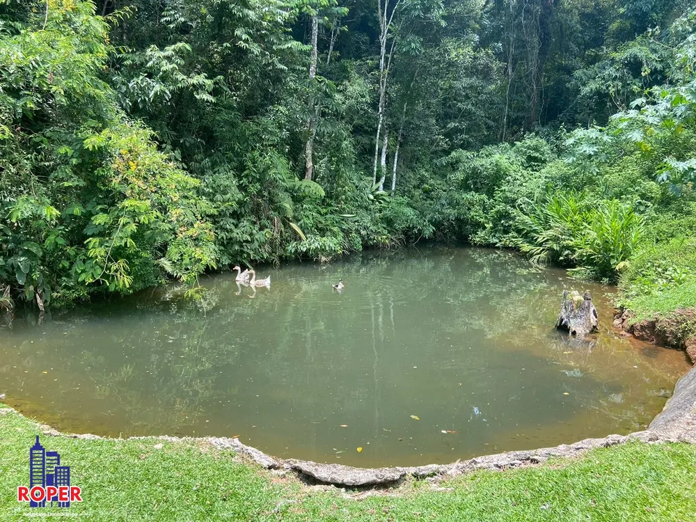 Chácara, 3 quartos, 3000 m² - Foto 10