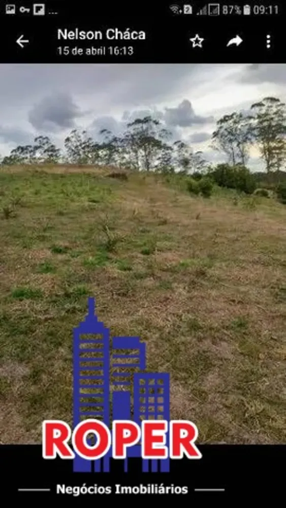 Terreno, 3 hectares - Foto 3
