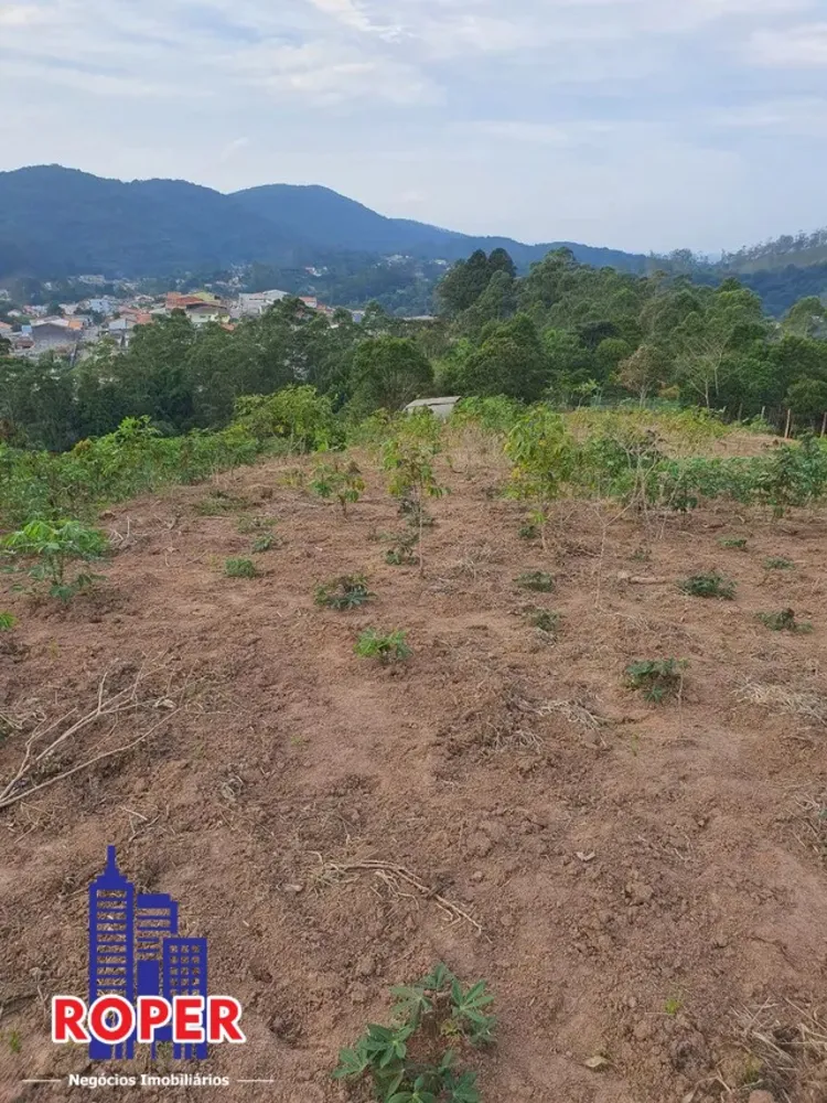Terreno, 3 hectares - Foto 6