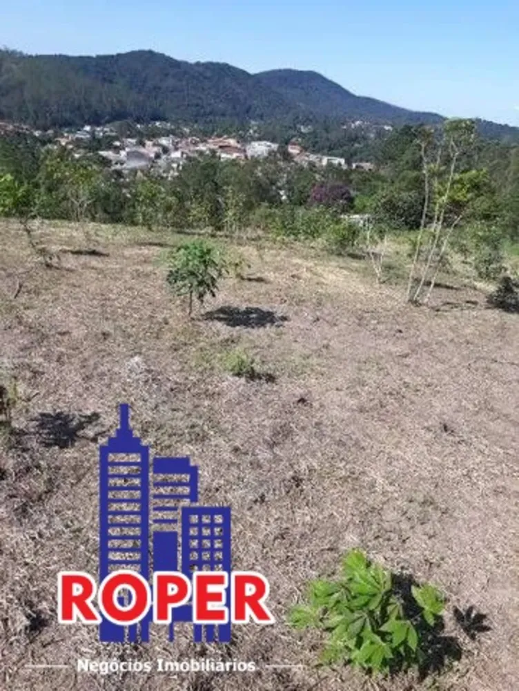 Terreno, 3 hectares - Foto 7