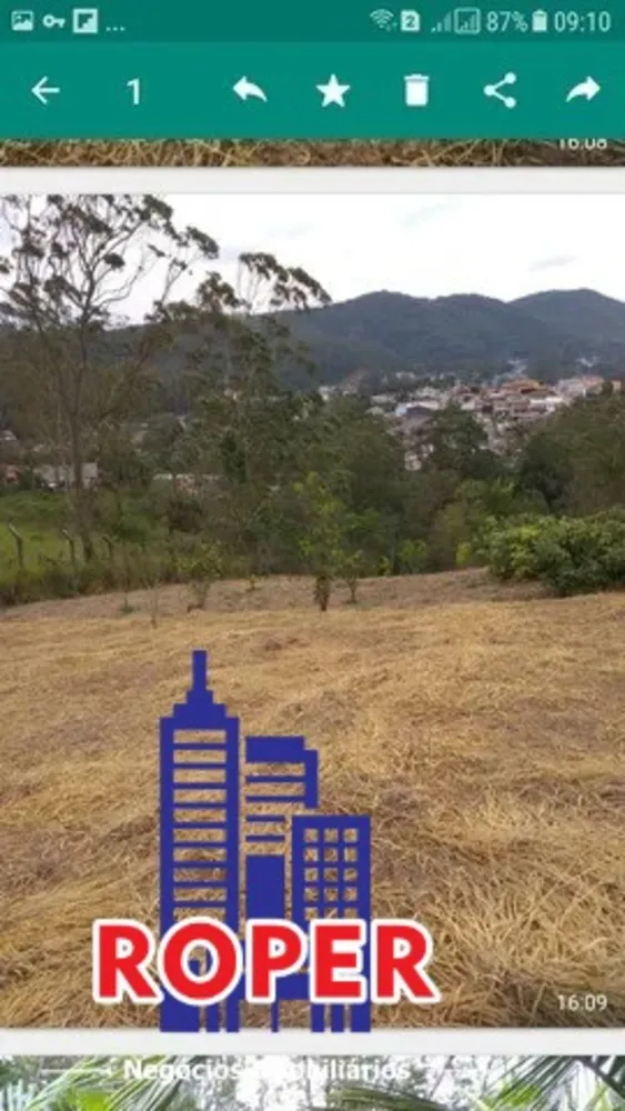 Terreno, 3 hectares - Foto 1