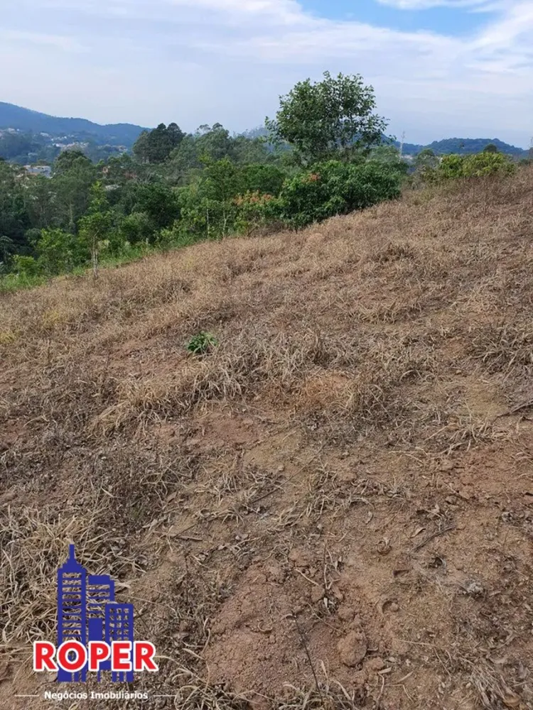 Terreno, 3 hectares - Foto 12