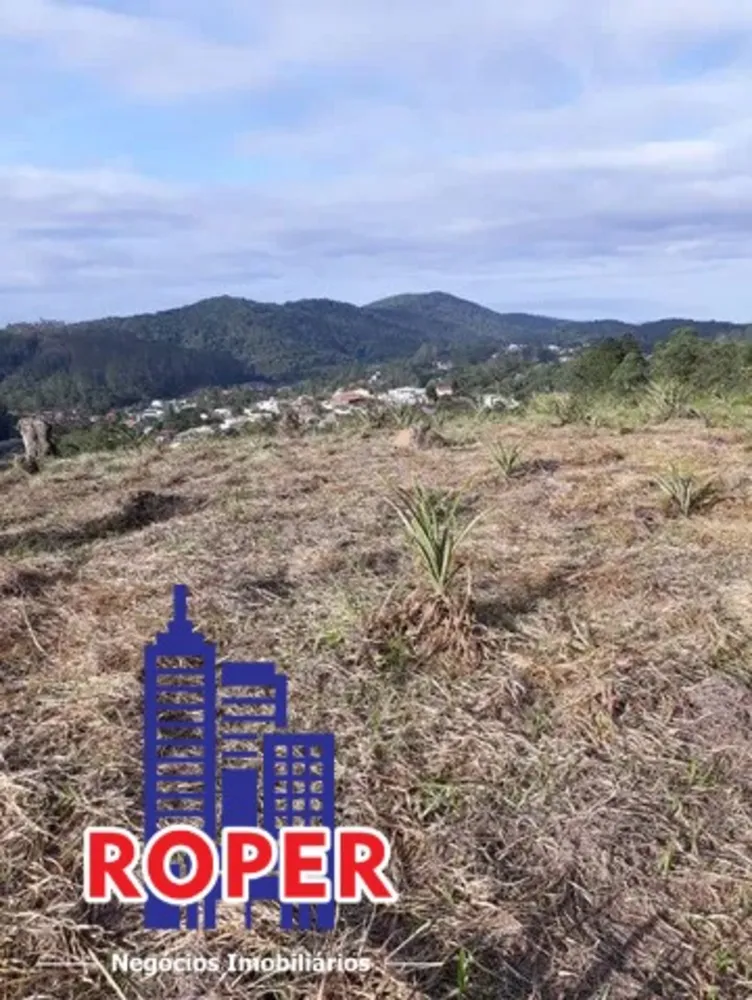 Terreno, 3 hectares - Foto 8