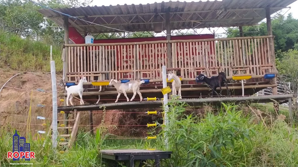Chácara, 3 quartos, 3 hectares - Foto 1