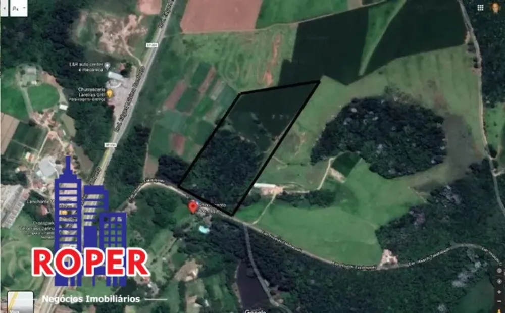 Terreno, 4 hectares - Foto 6