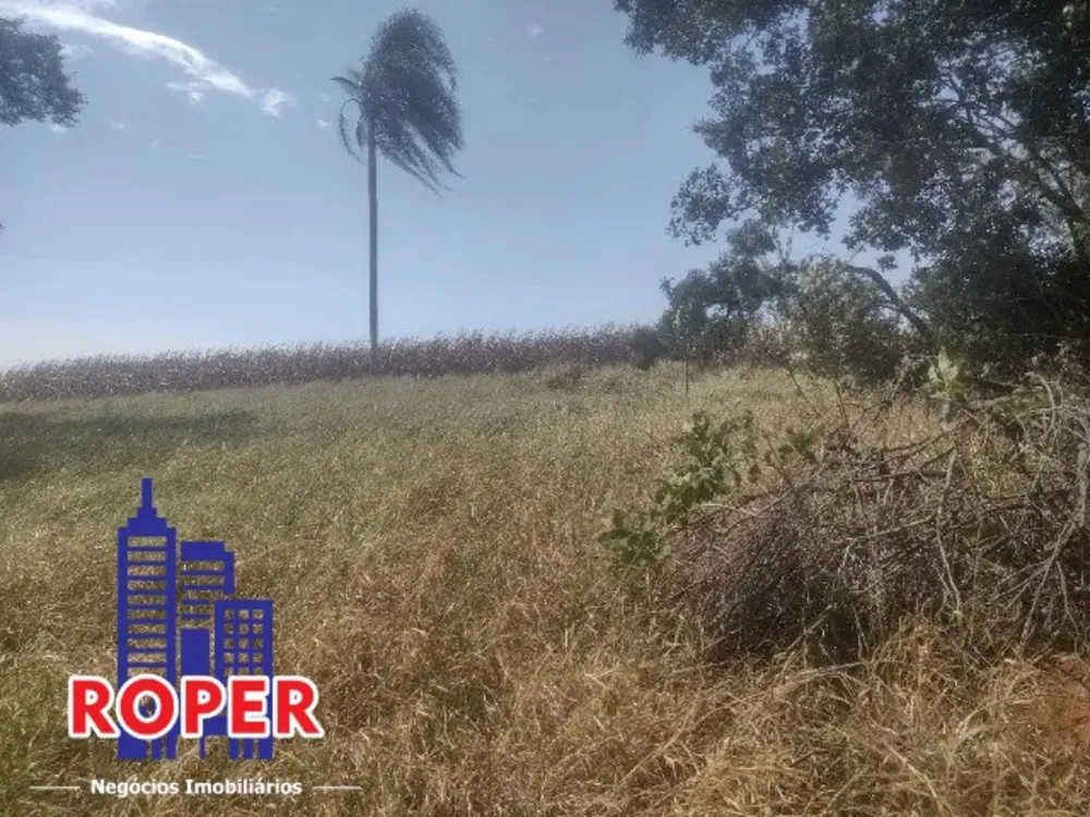 Terreno, 4 hectares - Foto 2