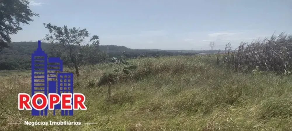 Terreno, 4 hectares - Foto 4
