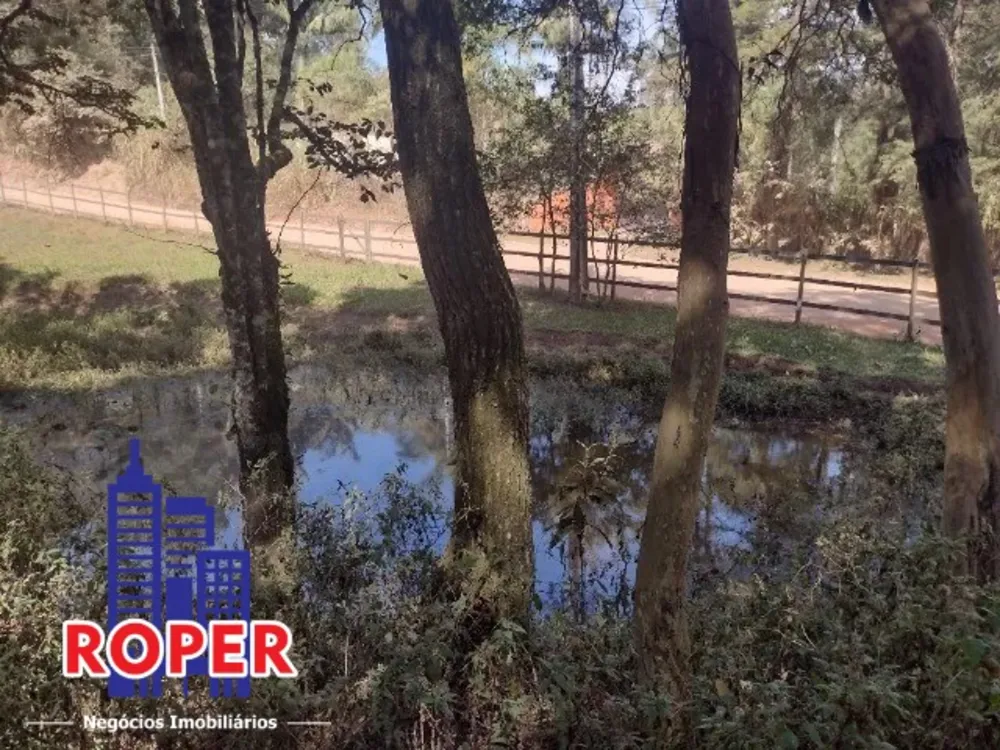 Terreno, 4 hectares - Foto 1