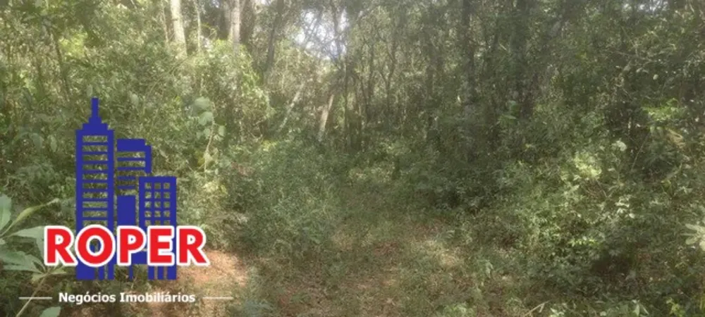Terreno, 4 hectares - Foto 3