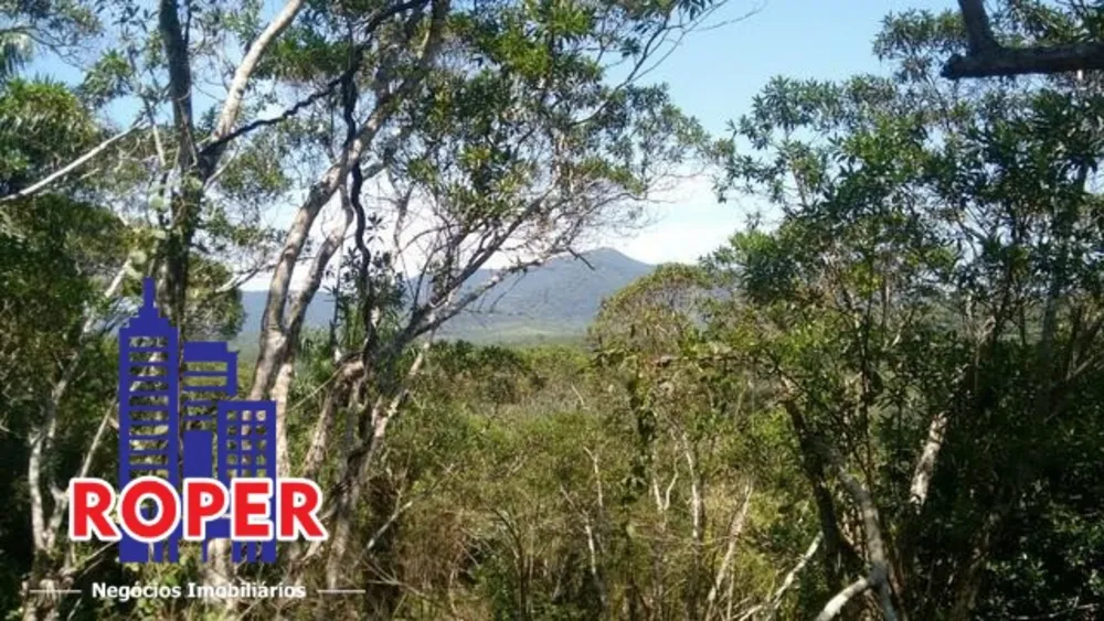 Fazenda, 12 hectares - Foto 3