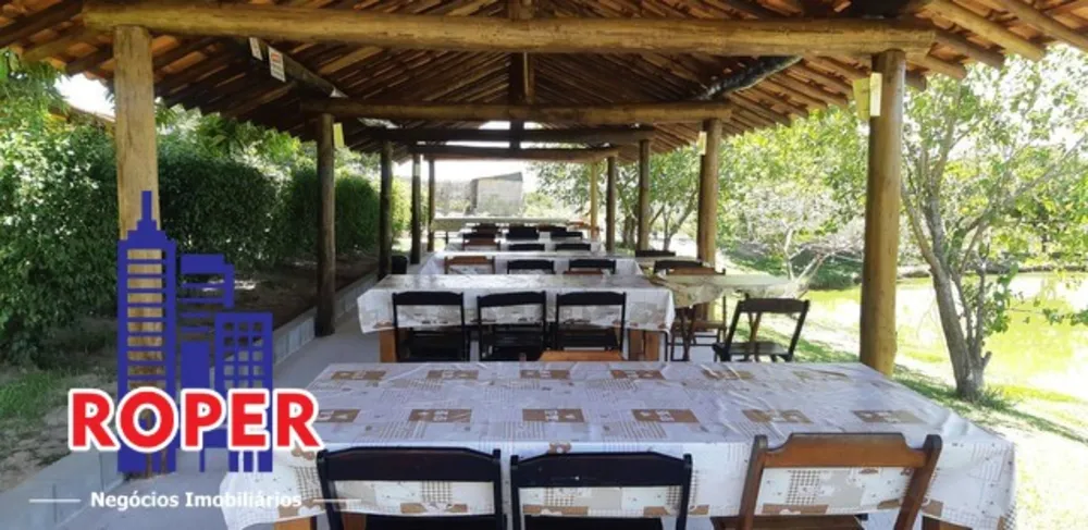 Sítio, 6 quartos, 3 hectares - Foto 6
