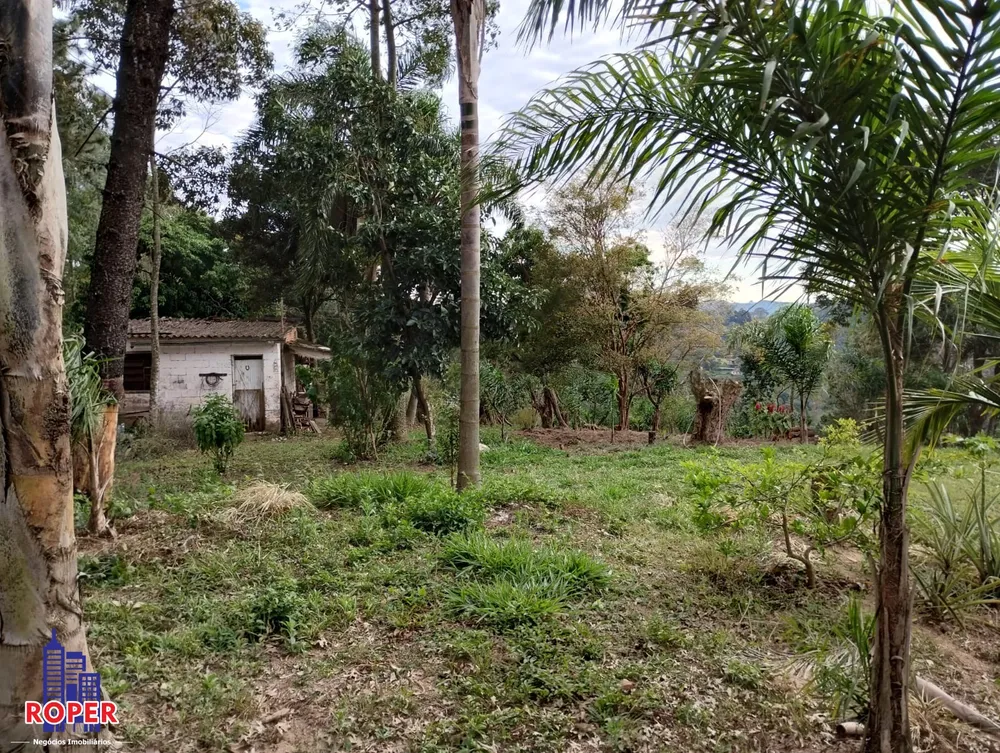Chácara, 4 quartos, 6450 m² - Foto 16