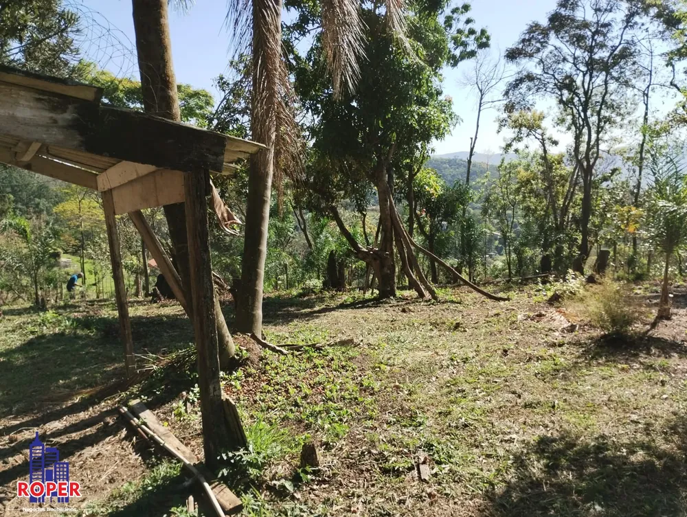 Chácara, 4 quartos, 6450 m² - Foto 12