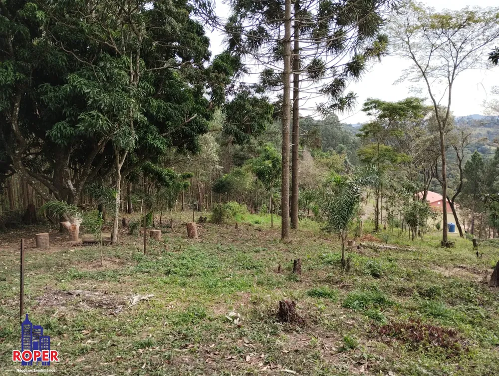 Chácara, 4 quartos, 6450 m² - Foto 15