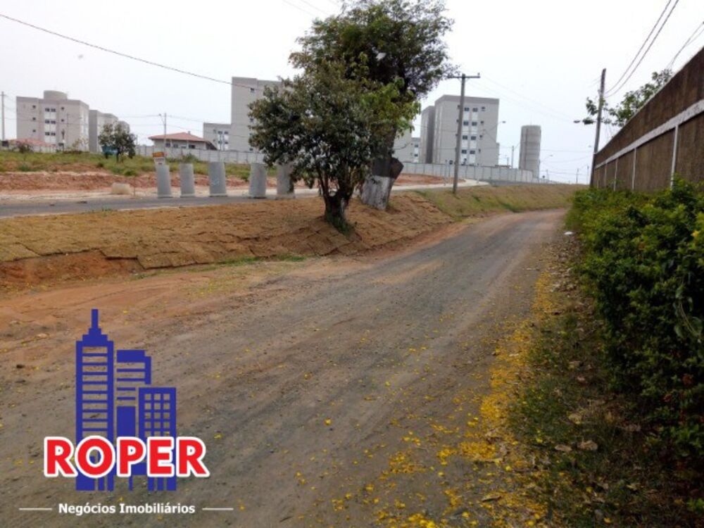 Chácara, 2 quartos, 5250 m² - Foto 4