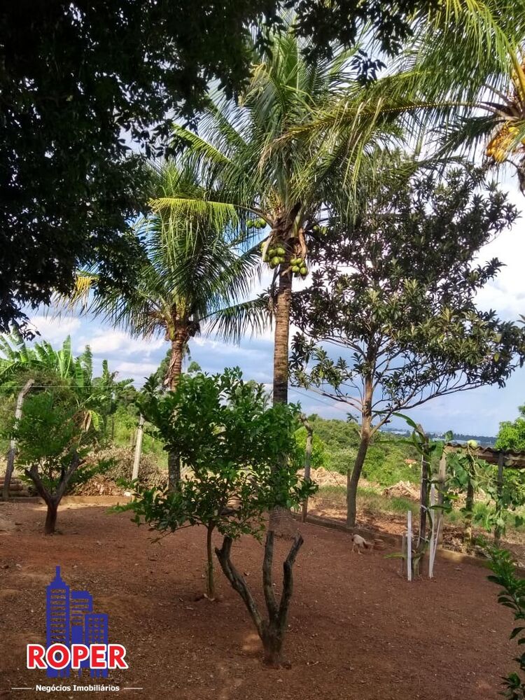 Sítio, 4 quartos, 5 hectares - Foto 3