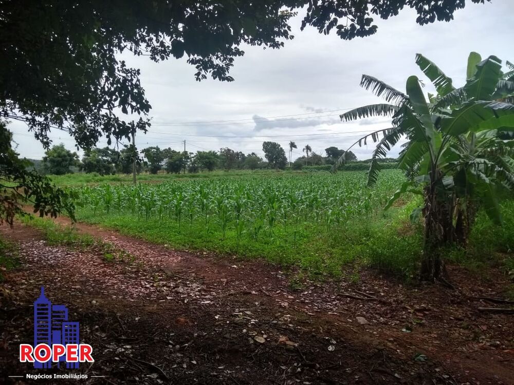 Sítio, 4 quartos, 5 hectares - Foto 1