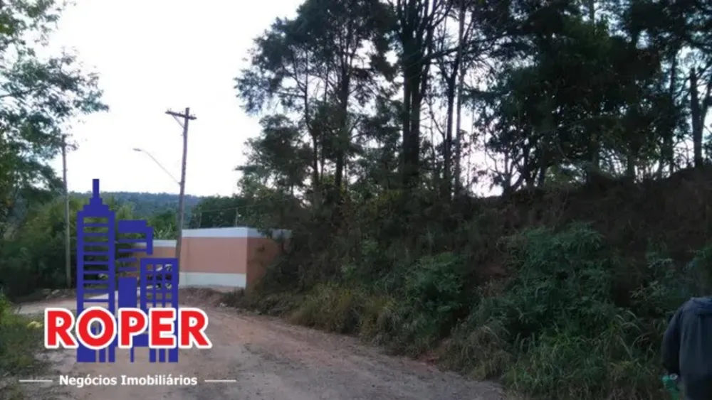 Chácara, 2 quartos, 5340 m² - Foto 3