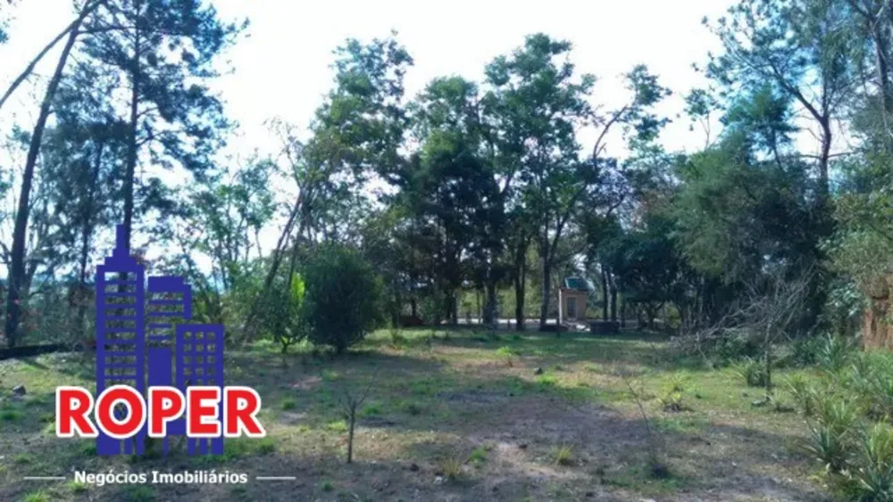 Chácara, 2 quartos, 5340 m² - Foto 11
