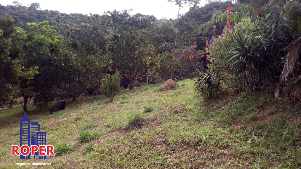 Chácara, 3 quartos, 2 hectares - Foto 4