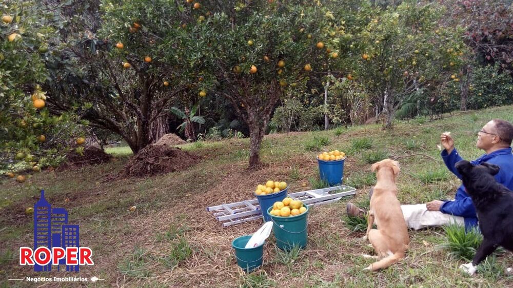 Chácara, 3 quartos, 2 hectares - Foto 7
