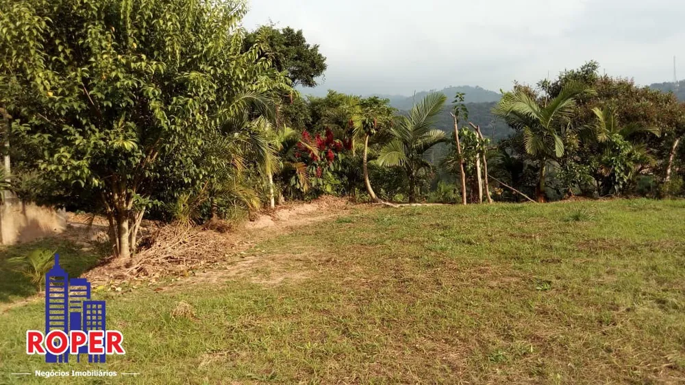 Chácara, 3 quartos, 2 hectares - Foto 12