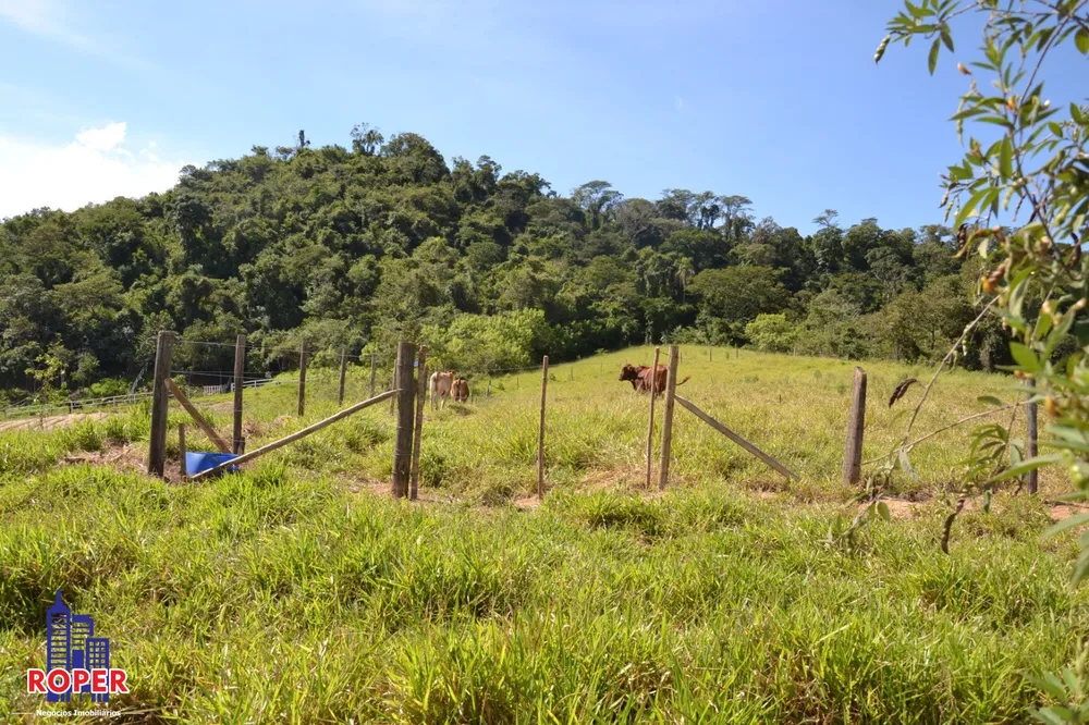 Fazenda, 7 hectares - Foto 15