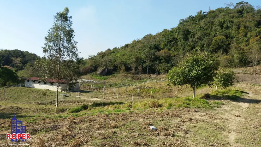 Fazenda, 7 hectares - Foto 8