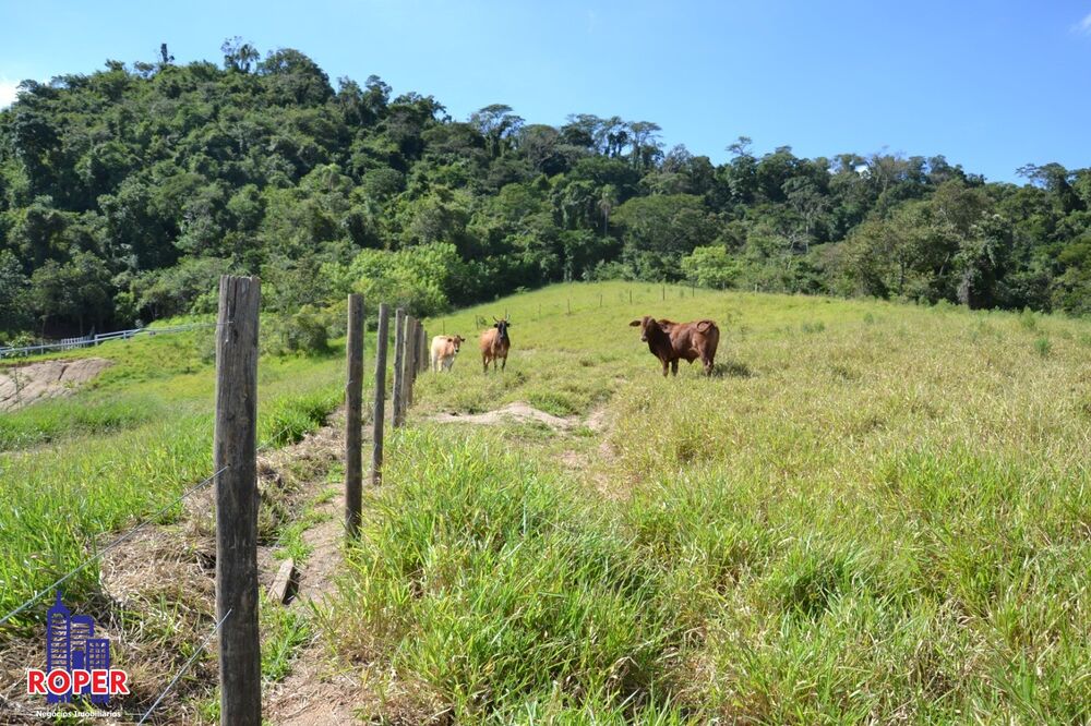 Fazenda, 7 hectares - Foto 1