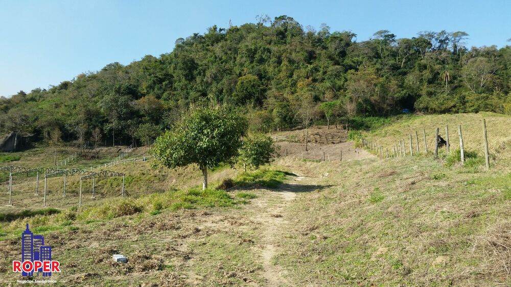 Fazenda, 7 hectares - Foto 3
