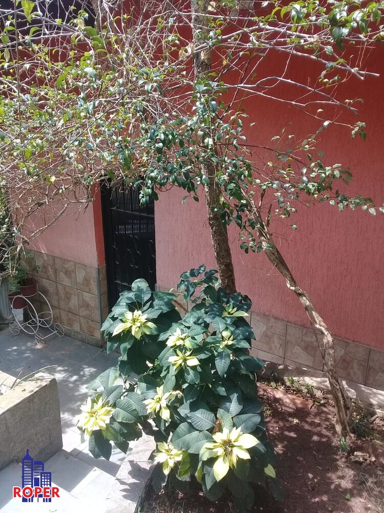 Chácara, 3 quartos, 6800 m² - Foto 8