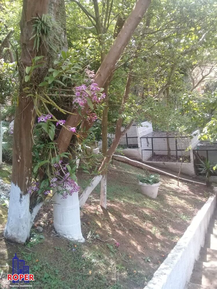 Chácara, 3 quartos, 6800 m² - Foto 7