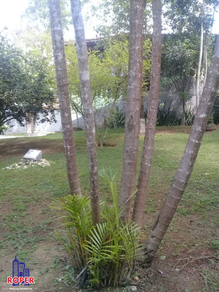 Chácara, 3 quartos, 6800 m² - Foto 6