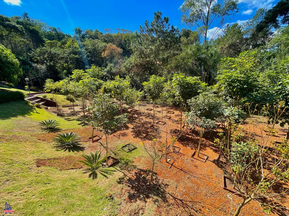 Chácara, 3 quartos, 3000 m² - Foto 6