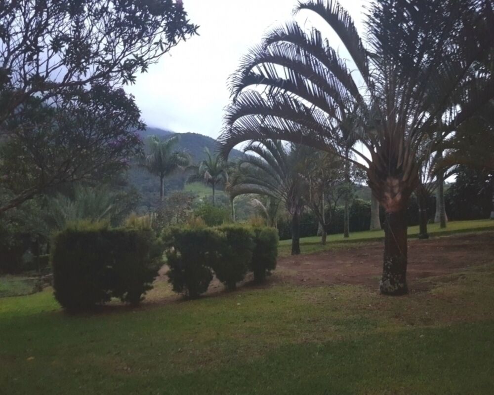 Chácara, 4 quartos, 2 hectares - Foto 7