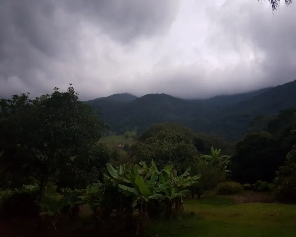 Chácara, 4 quartos, 2 hectares - Foto 8
