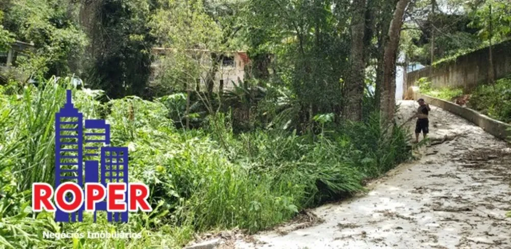 Chácara, 3 quartos, 4040 m² - Foto 12