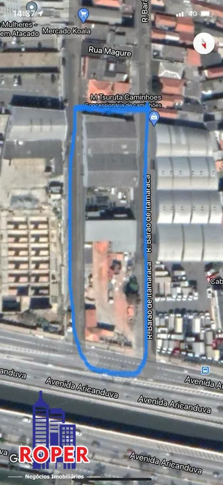 Terreno, 3000 m² - Foto 7
