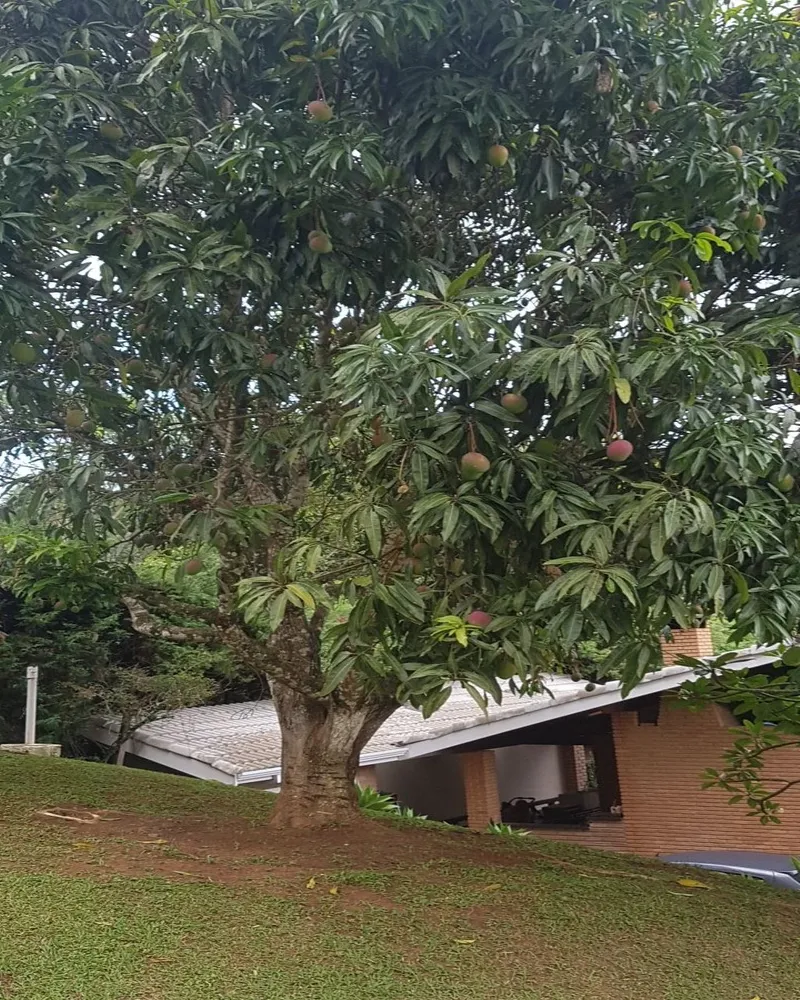 Chácara, 7 quartos, 4000 m² - Foto 16